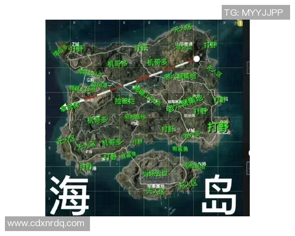 和平精英V5灵活性解析S15电竞赛事全景展望与策略分析