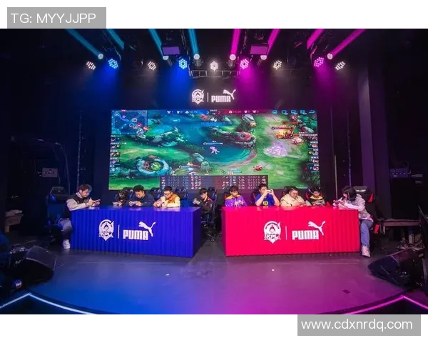 WE电竞战队转型之路揭秘从辉煌到重生的职业联赛特别报道