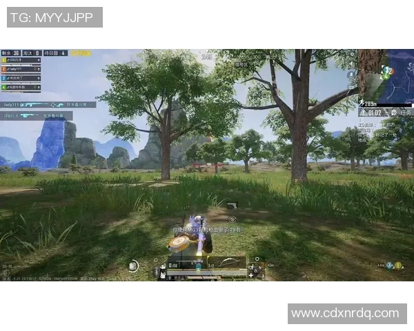 和平精英战场揭秘BLG团队如何成功反击敌手的战术分析与策略探讨