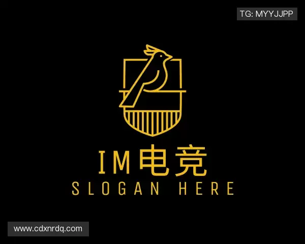 关于IM电竞